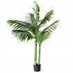 Planta Catechu Artificial 140cm